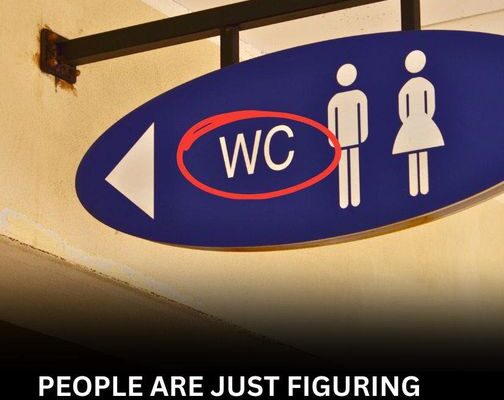 People Are Only Now Figuring Out What The WC Toilet Sign Means